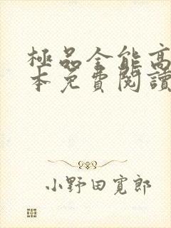 极品全能高手全本免费阅读