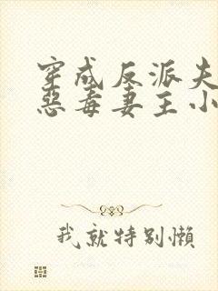 穿成反派夫郎的恶毒妻主小说