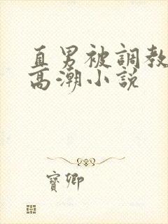 直男被调教玩弄高潮小说