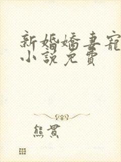 新婚娇妻宠上瘾小说免费