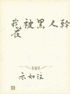 我被黑人干了一夜