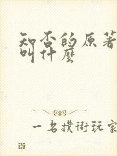 知否的原著小说叫什么