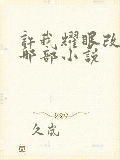 许我耀眼改编自哪部小说