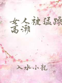 女人被猛躁c到高潮