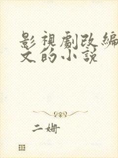 影视剧改编成爽文的小说