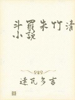 斗罗朱竹清同人小说