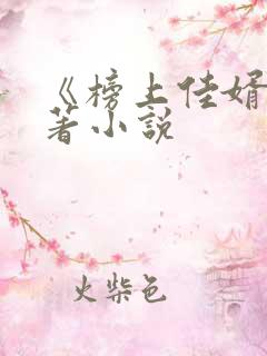 《榜上佳婿》原著小说