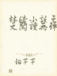 林皓小说免费全文阅读无弹窗