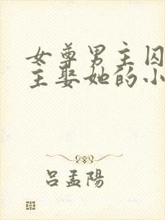 女尊男主囚禁女主娶她的小说