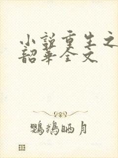 小说重生之不负韶华全文