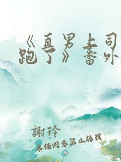 《直男上司带球跑了》番外免费阅读