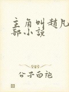 主角叫赵凡是哪部小说