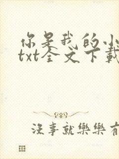 你是我的小确幸txt全文下载