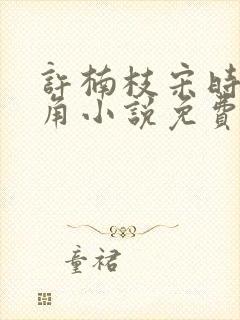 许楠枝宋时烨主角小说免费阅读