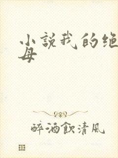 小说我的绝色岳母