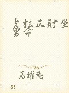 月柱正财坐伤官男命