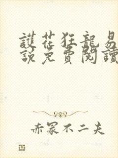 护花狂龙易军小说免费阅读