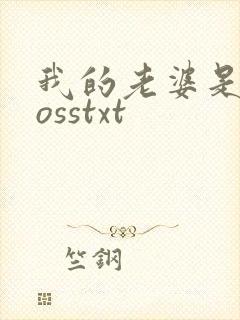 我的老婆是大bosstxt