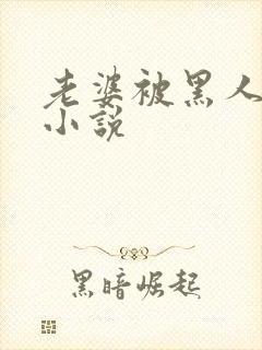 老婆被黑人操了小说