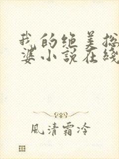 我的绝美总裁老婆小说在线阅读