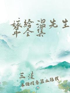 嫁给温先生第五年全集