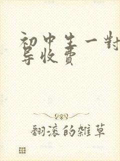 初中生一对一辅导收费