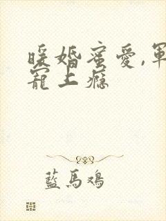 暖婚蜜爱,军官宠上瘾