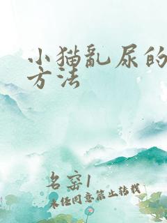 小猫乱尿的解决方法