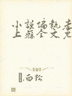 小说偏执老公宠上瘾全文免费阅读