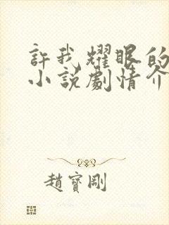 许我耀眼的原著小说剧情介绍