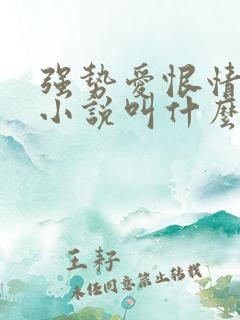 强势爱恨情原著小说叫什么