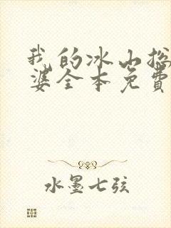 我的冰山总裁老婆全本免费阅读