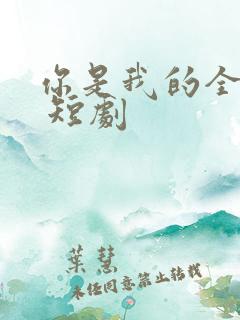 你是我的全世界 短剧