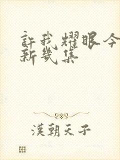 许我耀眼今天更新几集