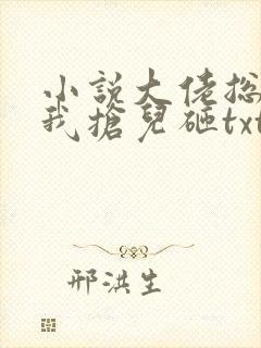 小说大佬总想跟我抢儿砸txt下载