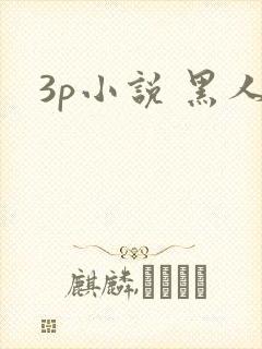 3p小说 黑人