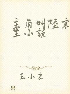 主角叫陆寒的重生小说