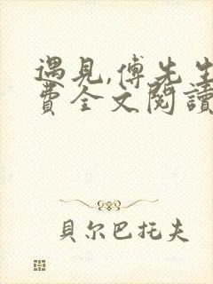 遇见,傅先生免费全文阅读