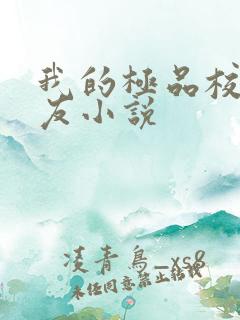 我的极品校花女友小说