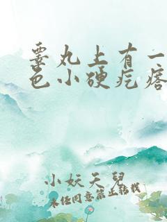 睾丸上有一个白色小硬疙瘩是怎么回事