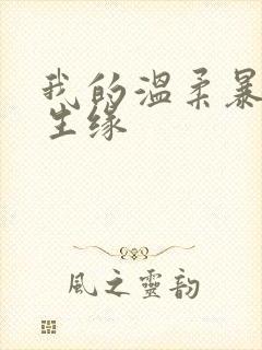 我的温柔暴君再生缘