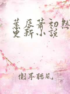 叶辰萧初然最快更新小说