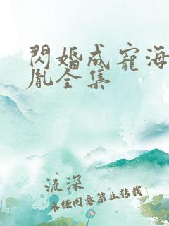 闪婚成宠海彤战胤全集