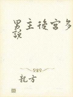 男主后宫多的小说
