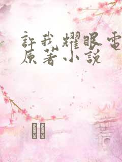 许我耀眼电视剧原著小说
