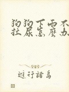 狗狗下雨不出去拉尿怎么办