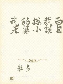 我的总裁白富美老婆小说目录章节