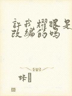 许我耀眼是小说改编的吗