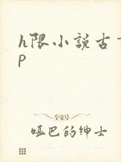 h限小说古言np