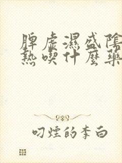 脾虚湿盛阴虚内热吃什么药